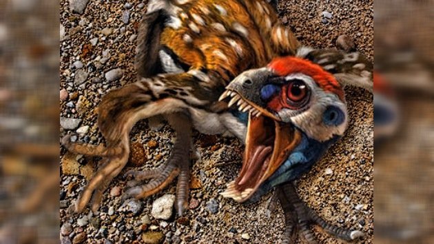 Hallados fósiles de dinosaurios que tenían plumas de color naranja