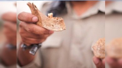 Encuentran en Trípoli una fosa común con más de mil cuerpos