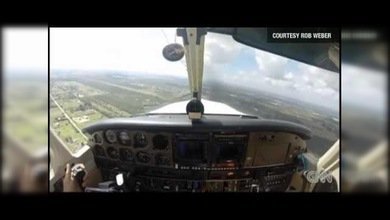 Encontronazo de altura: Un pájaro atraviesa el parabrisas de una avioneta en pleno vuelo