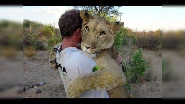 El entrañable vínculo entre una leona y los dos ecologistas que la salvaron de la muerte