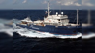 Científicos estudian las consecuencias del vertido del golfo en el Misisipi