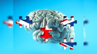 Inglaterra: presupuesto cortado, cerebros fugados