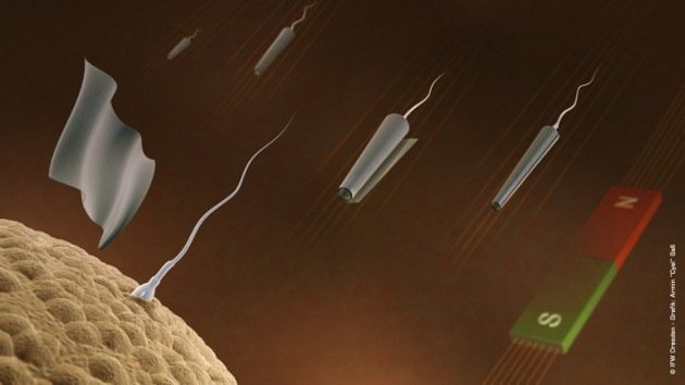 Video: Crean espermatozoides robot controlados a distancia