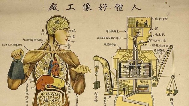 Fotos: Anatomía 'made in China': El cuerpo humano funciona como una fábrica