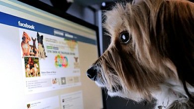 ¿Por qué creemos los bulos que circulan en Facebook?
