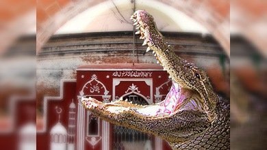 Dos cocodrilos atacan y matan a una mujer en Bangladesh