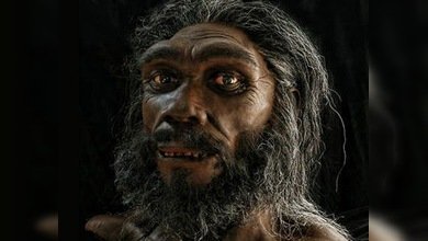 Los hombres de la “tercera especie” eran campeones naturales de pedestrismo