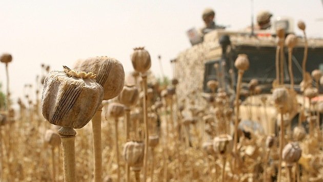 El comercio del opio florece en Afganistán: ¿Se marchitó del todo la misión de EE.UU.?