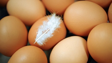 8 alimentos peligrosos si se comen crudos