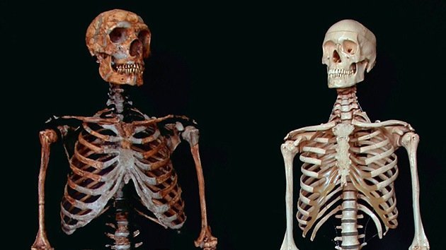 El Homo Sapiens 'mira por encima del hombro' a sus antepasados