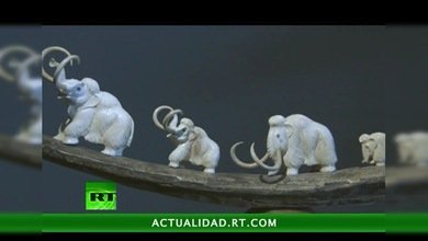 Chukotka : prehistoria congelada