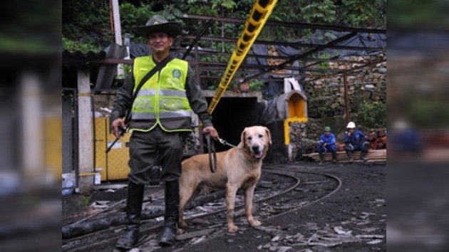 Una nueva explosión minera en Colombia dejó 5 muertos