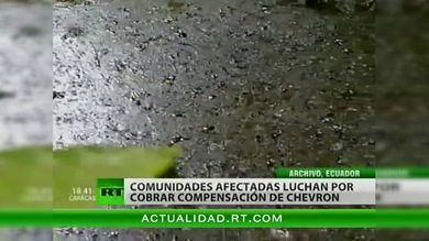 "Lo que debe pagar Chevron a Ecuador es una ínfima parte de los recursos que se llevó"