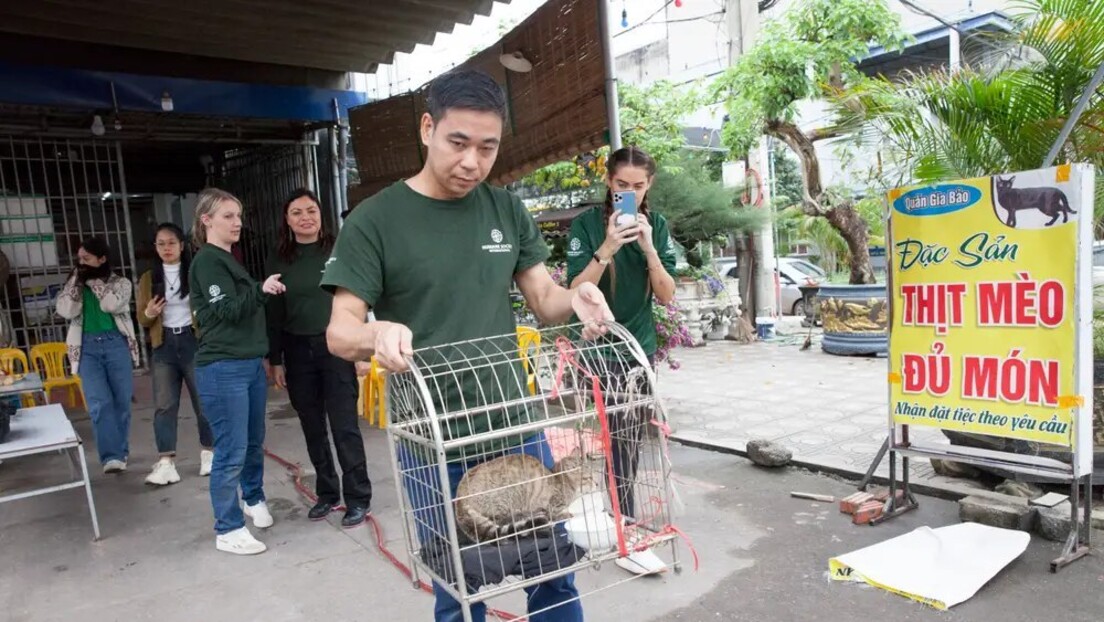 Restaurante que vendia pratos com carne de gato é fechado no Vietnã