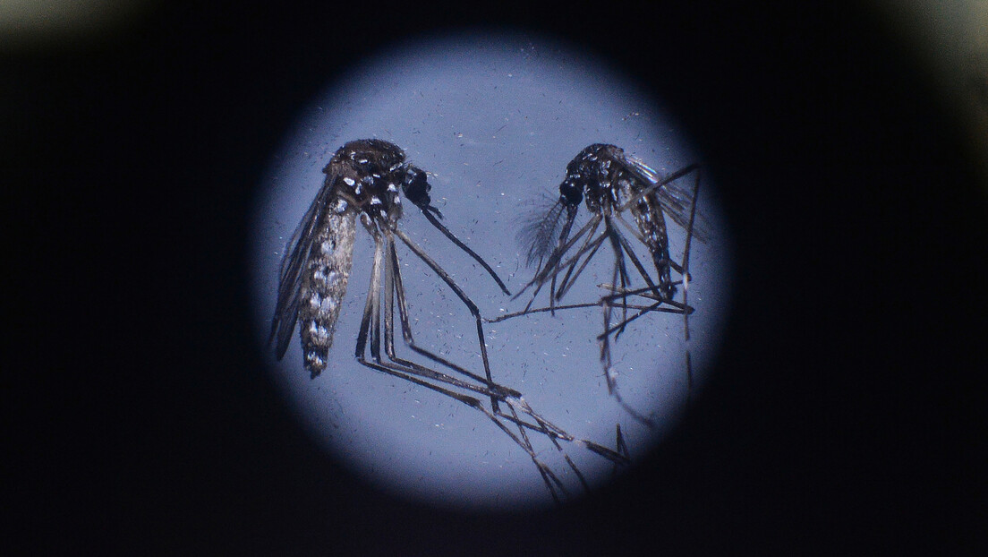 Brasil registra recorde de mortes por dengue em 2023