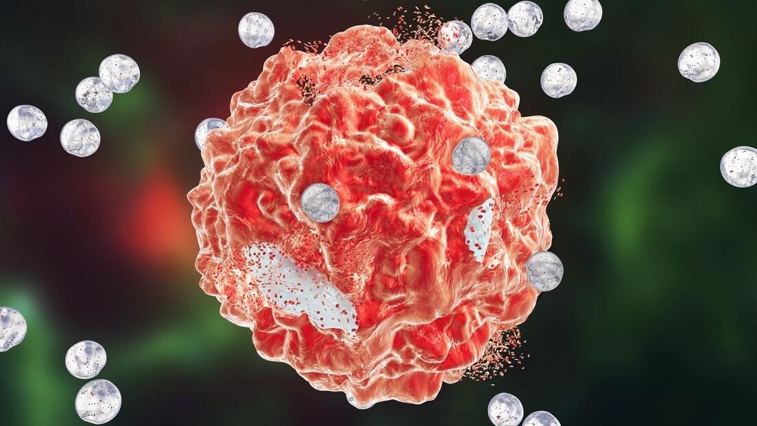 Mistério das células imunológicas resolvido após 18 anos