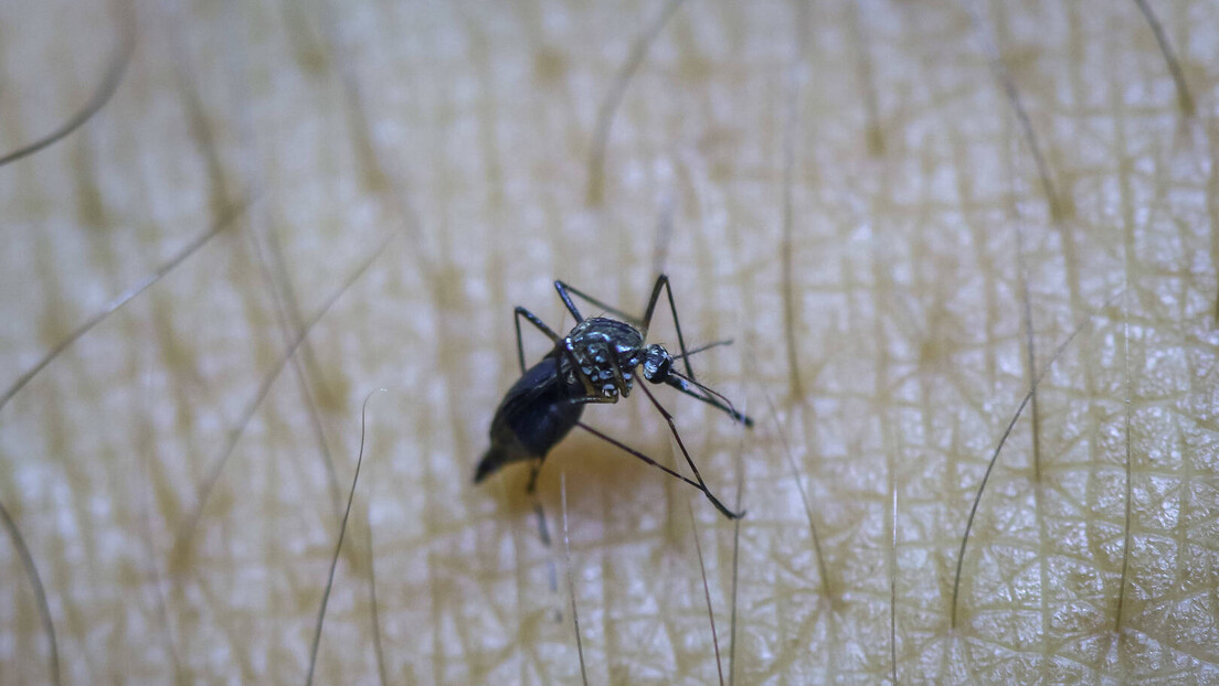 Rio de Janeiro registra aumento de 587% nos casos de dengue