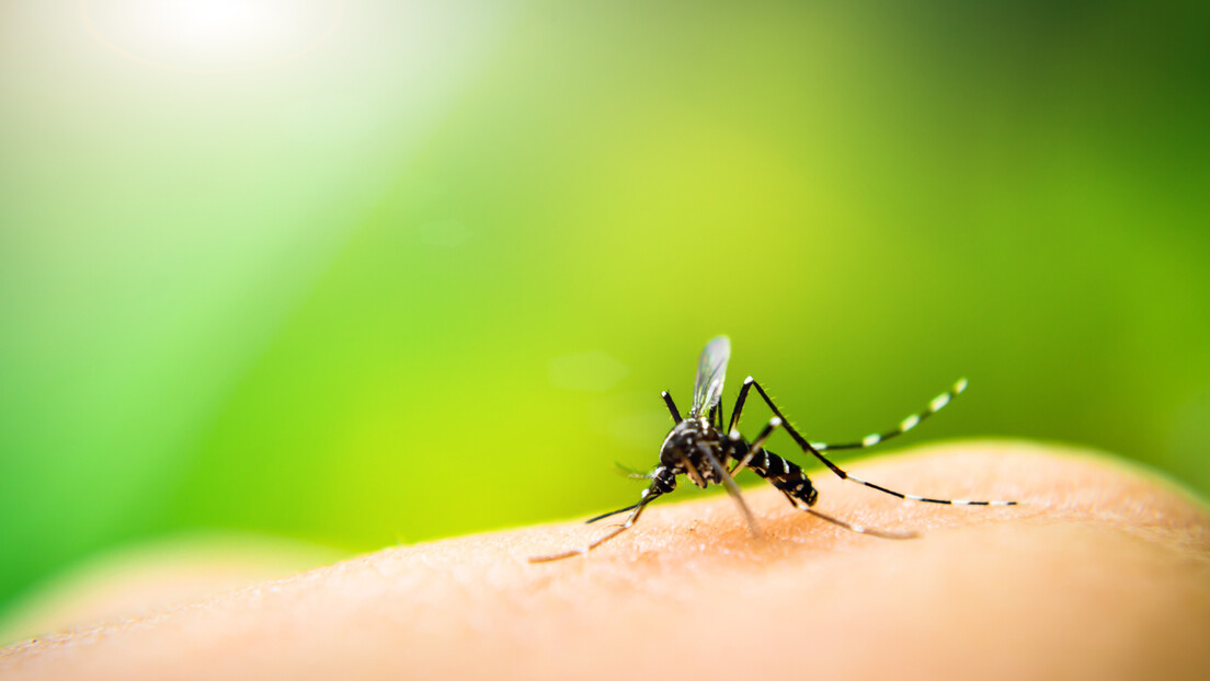 Rio de Janeiro declara emergência sanitária por aumento de casos de dengue