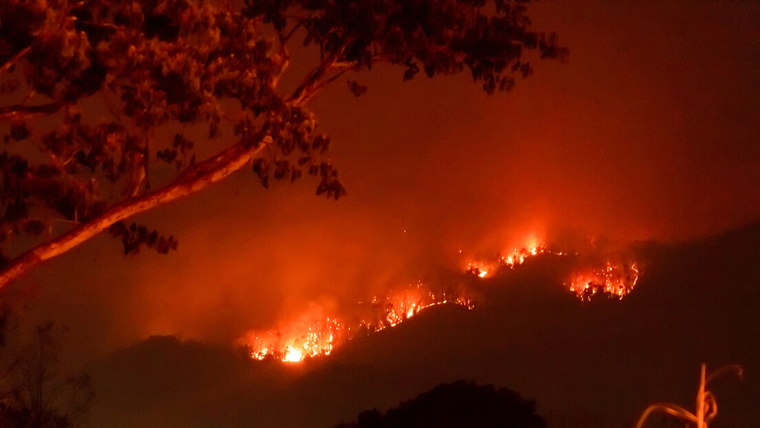 Amazônia brasileira bate recorde de incêndios em fevereiro