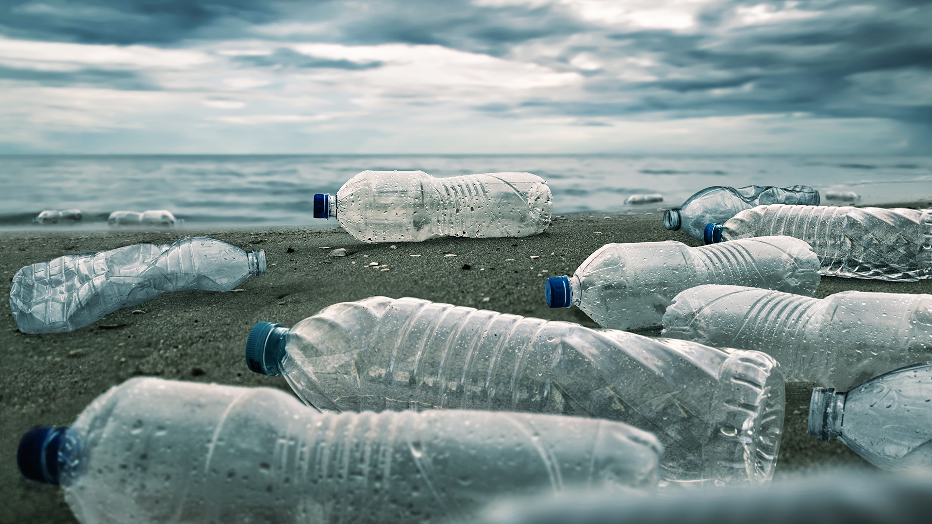 Centenas de substâncias tóxicas são encontradas em plásticos de uso comum