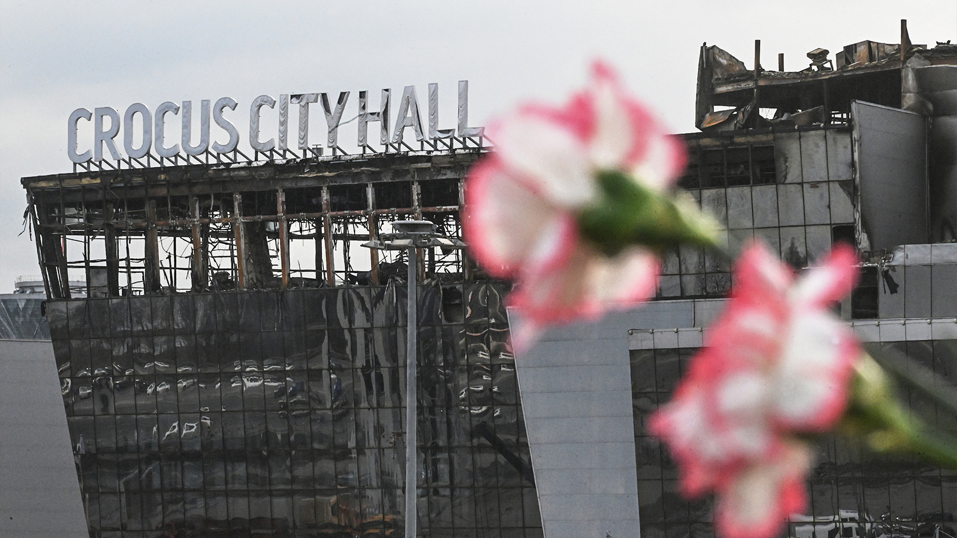 134 mortos no ataque terrorista ao Crocus City Hall foram identificados
