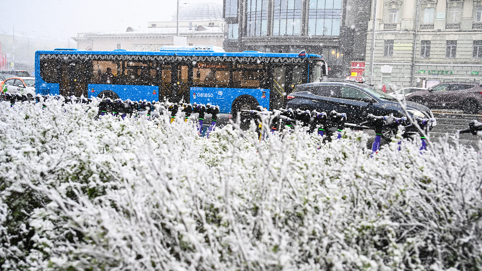 FOTOS, VÍDEOS: Nevascas repentinas atingem Moscou em pleno mês de maio