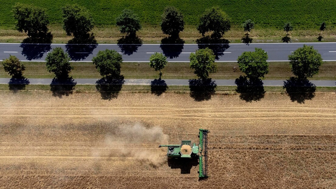 China pode deixar de comprar soja dos EUA para abastecer-se somente com o Brasil, segundo consultoria