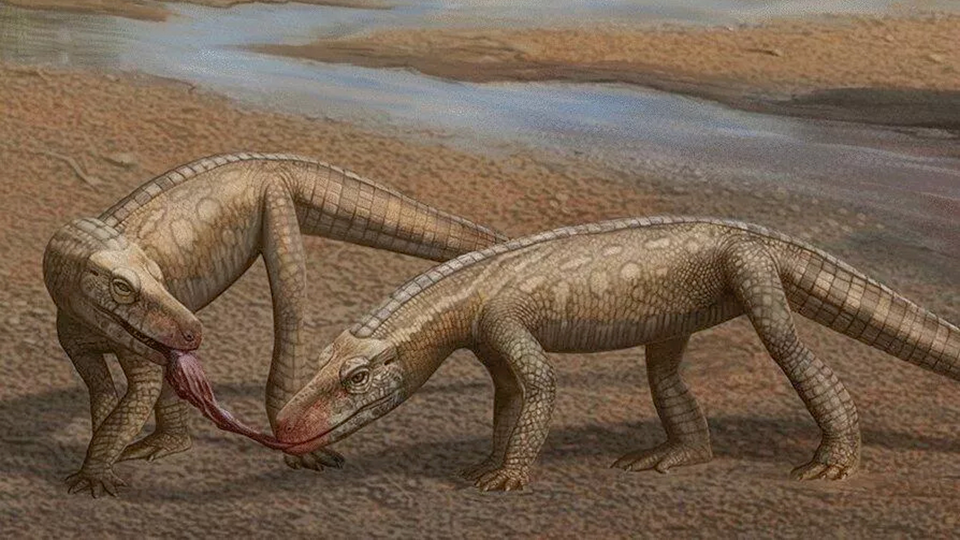 Fóssil de um pequeno réptil que viveu antes dos dinossauros é descoberto no Brasil