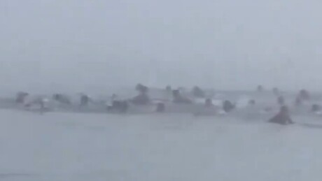 VÍDEO: Praia da Espanha é evacuada devido a um fluxo de imigrantes