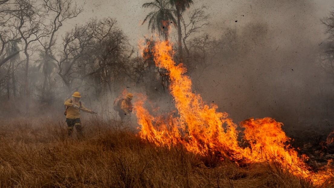 Incêndios já destruíram área do tamanho de Roraima em 2024