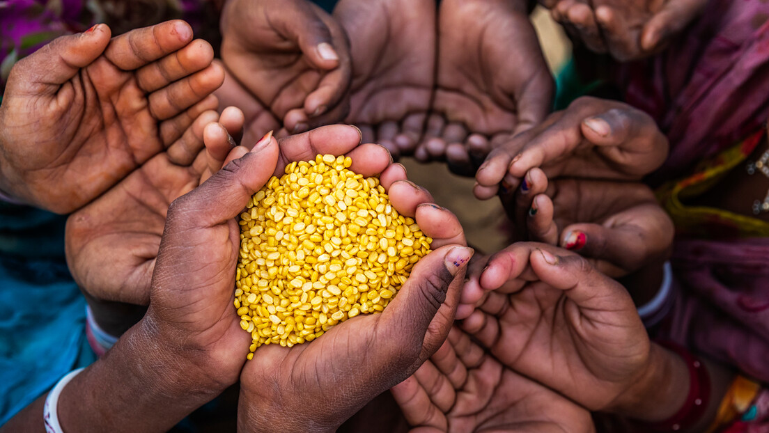 Sul da África enfrenta a pior crise alimentar em décadas, alerta ONU