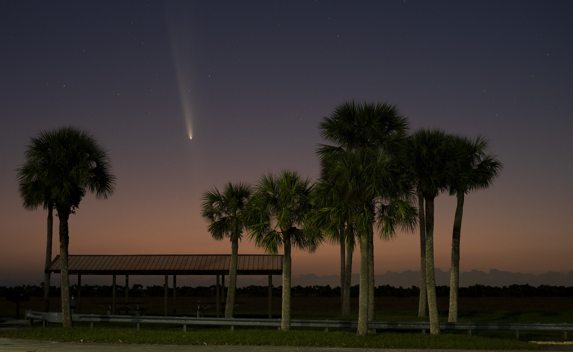 Cometa raro é visível a olho nu no hemisfério norte (FOTOS, VÍDEOS)