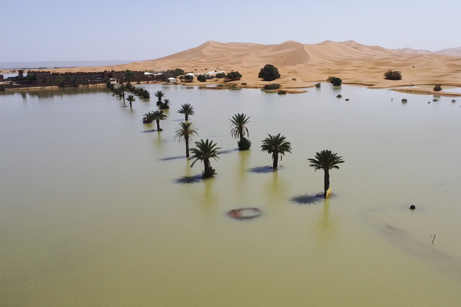 FOTOS: Chuvas fortes dão vida ao Deserto do Saara