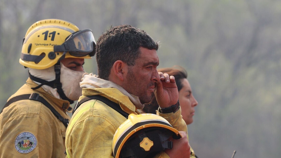 VÍDEO: Bombeiros argentinos resgatam gata dos escombros de um hotel que desabou