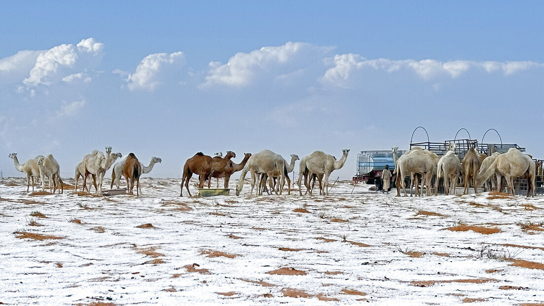 Fotos: Deserto da Arábia Saudita registra primeira nevasca de sua história