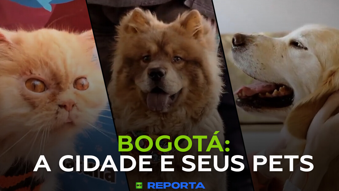 Bogotá: a cidade e seus pets - RT Reporta