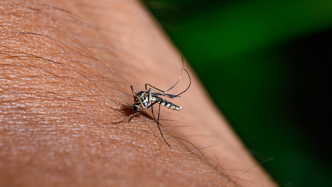 Parceria entre estatais nucleares boliviana e russa usa radiação em combate à dengue