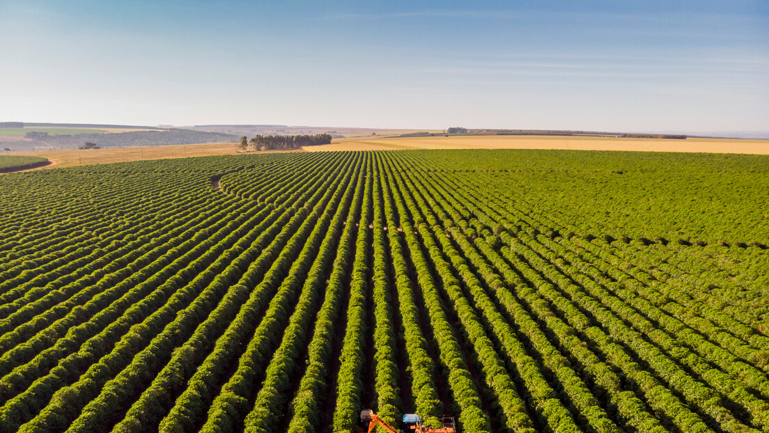 Responsável por 73% das emissões, agronegócio fica de fora do mercado brasileiro de carbono