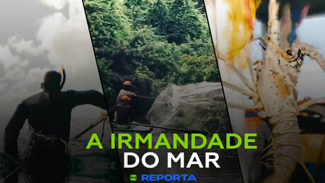 A Irmandade do Mar — RT Reporta