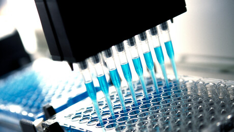 Centenas de amostras de vírus letais sumiram em laboratório na Austrália