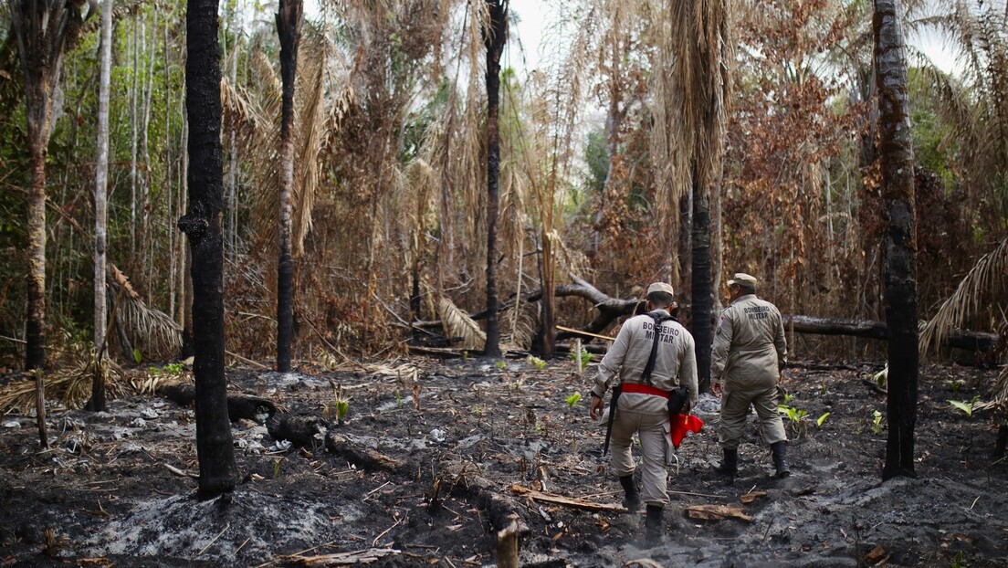 Cortes de Trump na ajuda externa podem afetar projetos na Amazônia, alertam especialistas