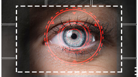 Startup pausa escaneamento de íris no Brasil após veto da ANPD
