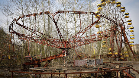 Chernobyl: a zona proibida onde a evolução dita suas próprias regras