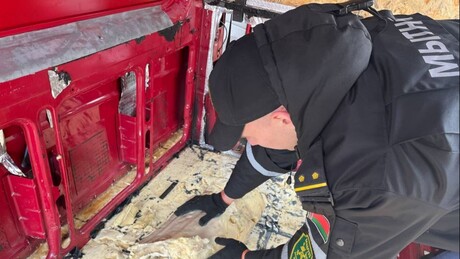 Putin agradece Lukashenko por interceptar uma enorme quantidade de explosivos enviados à Rússia