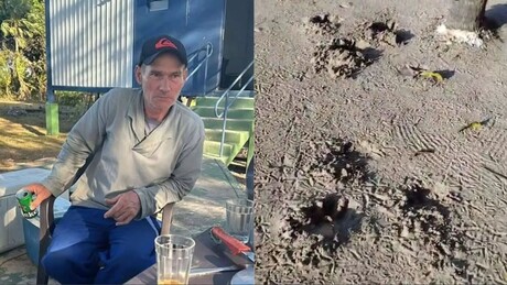 Homem é devorado por onça-pintada em fazenda no Mato Grosso do Sul