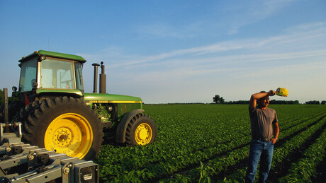 China diz que 'grãos americanos são substituíveis' e amplia importação de soja brasileira