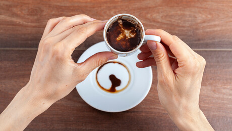 Mulher pede divórcio após chatbot 'concluir' traição do marido