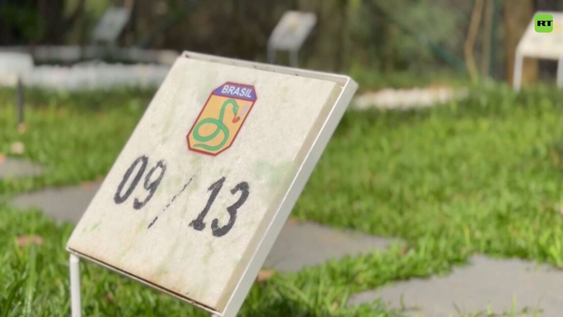 Mausoléu da FEB: conheça onde repousam os heróis brasileiros da Segunda Guerra Mundial