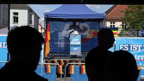 Inteligência alemã qualifica como 'extremista' o partido mais popular do país