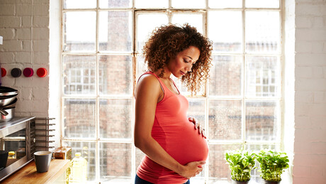 Qual é o número exato de bebês que cada mulher deve ter para salvar a humanidade?